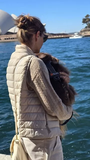 Woman wearing an ivory puffer vest, sunglasses, and the ivory Wag Society Memory Walk Pouch crossbody while holding her dog near the Sydney Opera House and harbour.