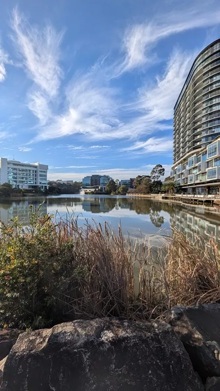 Tall reeds and rocks lining the water's edge with a wide-angle view across Norwest lake toward contemporary buildings under a dramatic sky filled with wispy clouds.