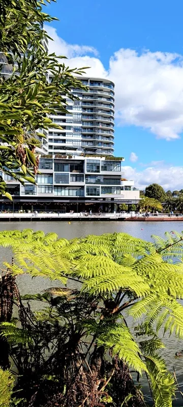 Lush green fern fronds in the foreground looking across the shimmering lake toward modern high-rise apartments and the walking path at Norwest.