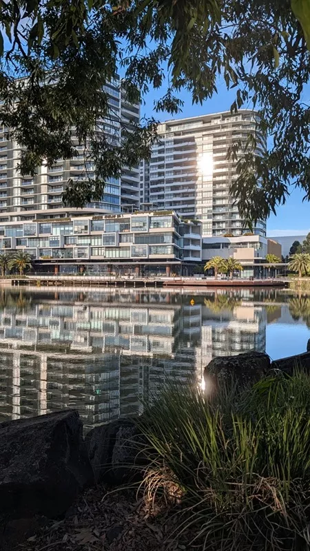 Crisp morning reflections of modern high-rises and palm trees mirrored perfectly in the calm waters of the Norwest lake, framed by overhanging tree branches and rocks.