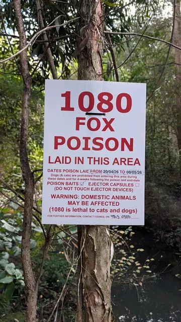 A white warning sign attached to a tree trunk reading "1080 Fox Poison Laid in This Area" in red text, surrounded by bushland
