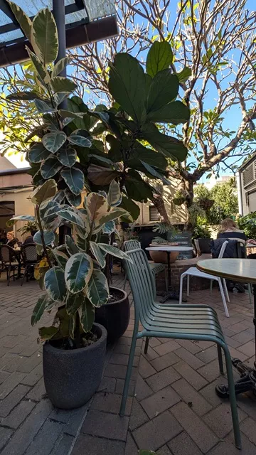 A sunny, plant-filled outdoor courtyard with green chairs, marble tables, and large potted plants at La Renaissance Patisserie in The Rocks