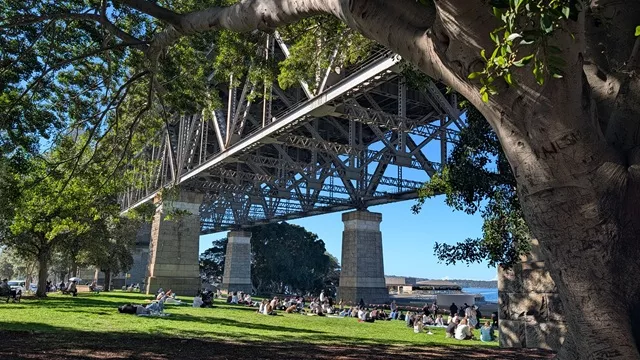 People relaxing on the grassy parkland under the massive steel structure of the Sydney Harbour Bridge on a sunny day.