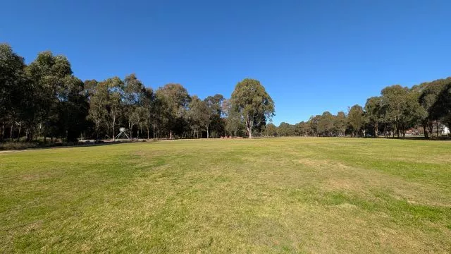 A wide panoramic view of expansive grassy parklands framed by mature eucalyptus trees under a deep blue sky at Parramatta Park.