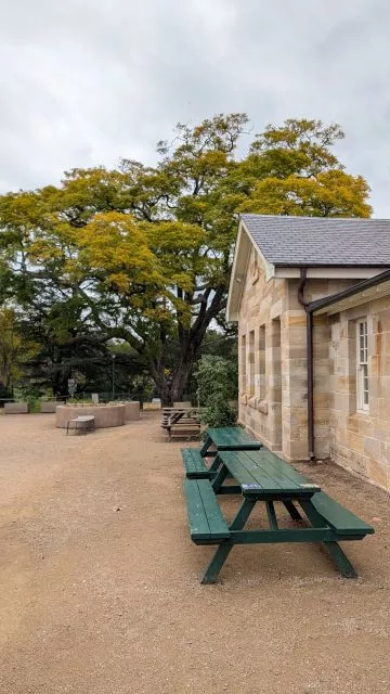 Green picnic benches set up on a gravel path next to a historic sandstone building and a large tree with yellowish-green leaves.