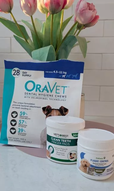 A packet of OraVet dental hygiene chews, Vet's Best clean teeth finger pads, and a tub of Plaque Control powder sitting on a counter beneath a vase of pink tulips.