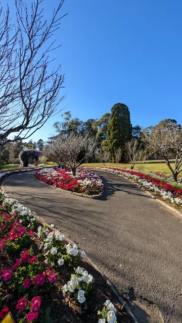 Paved walking path forking around a central teardrop-shaped garden bed filled with red, white, and pink petunias beneath ornamental trees at Wistaria Gardens.
